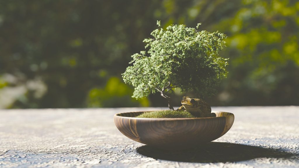 Sztuczne drzewko bonsai