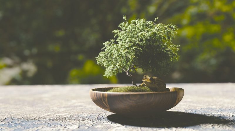 Sztuczne drzewko bonsai